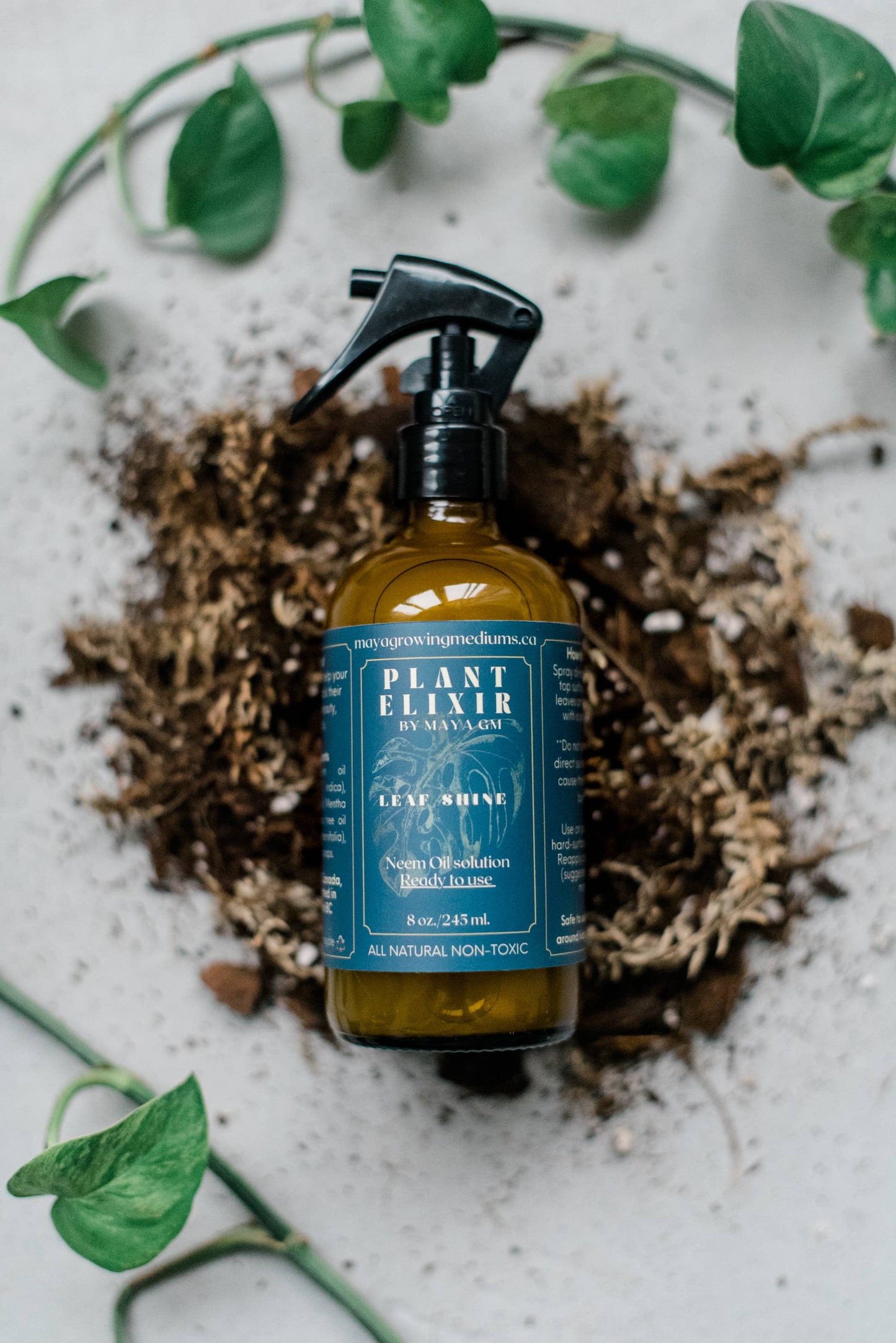 Plant Elixir Leaf shine
