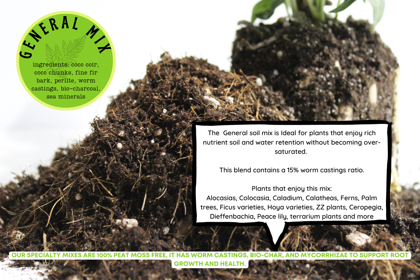 General blend-Potting soil for indoor plants 3L
