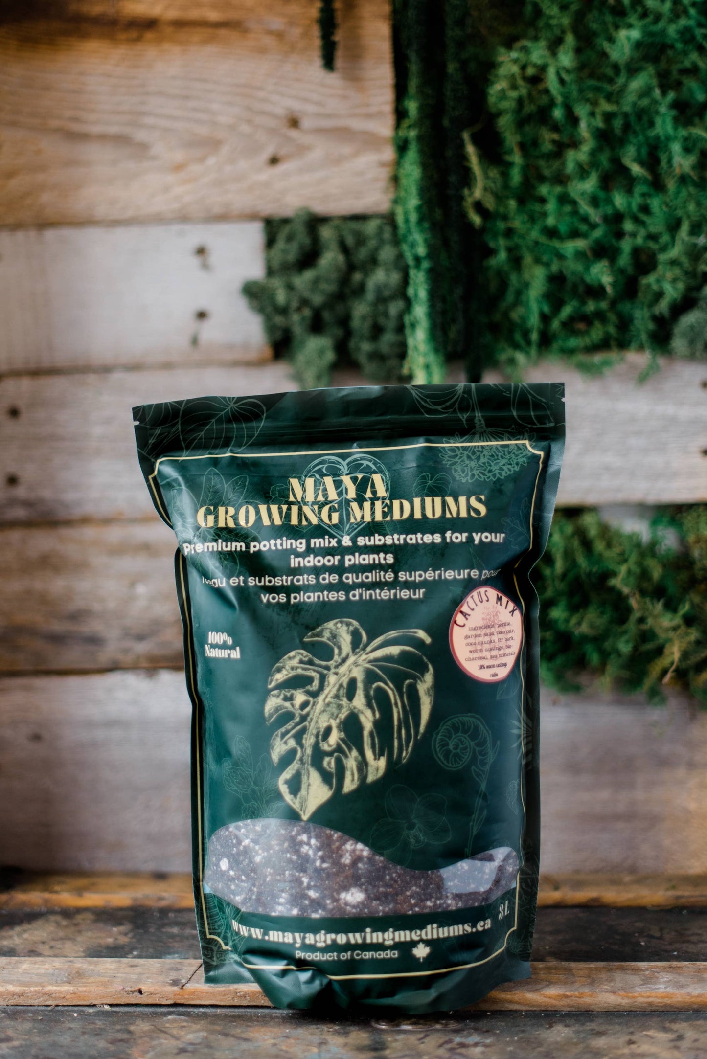Cactus blend-Potting soil for indoor plants: 3L
