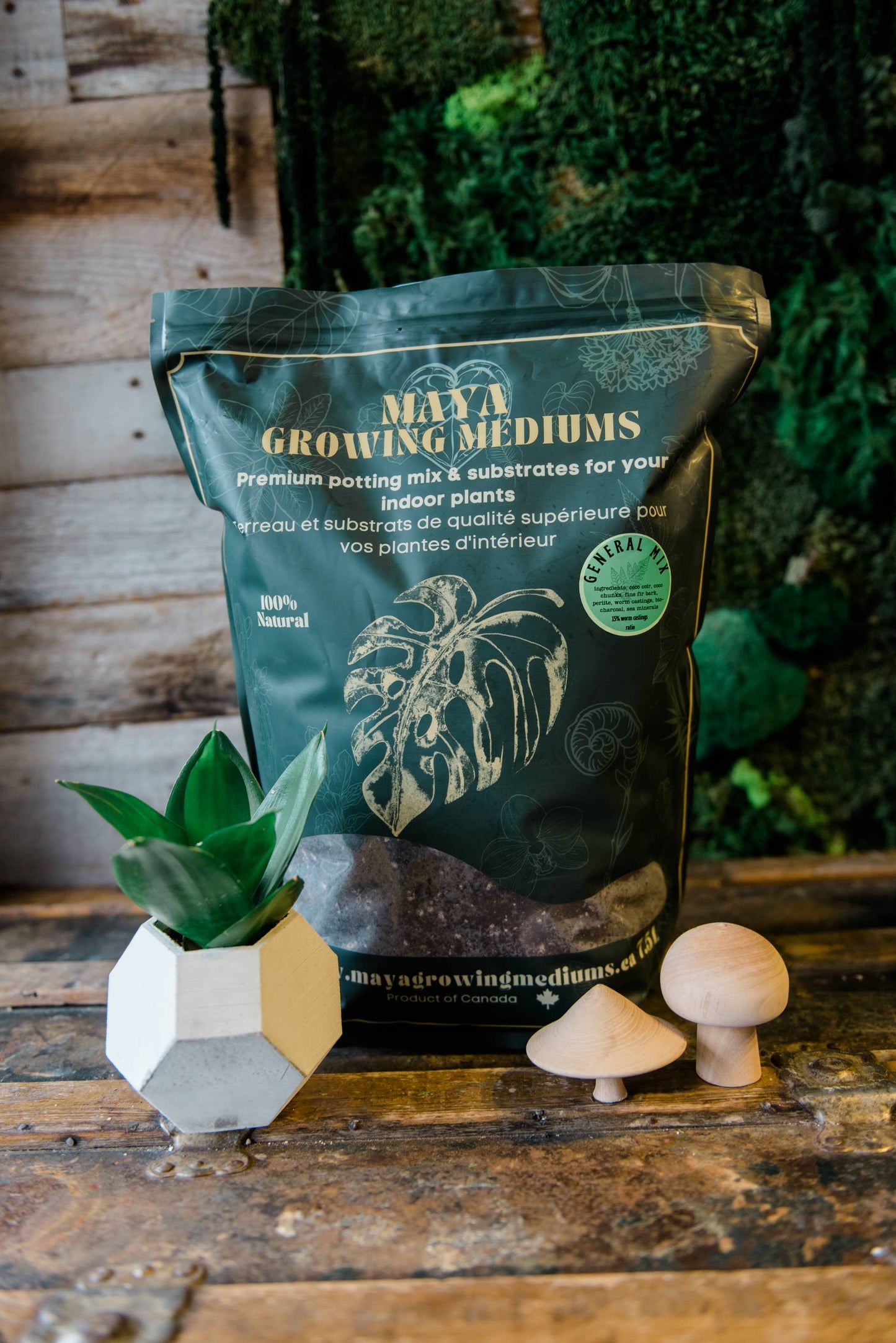 General blend-Potting soil for indoor plants 3L