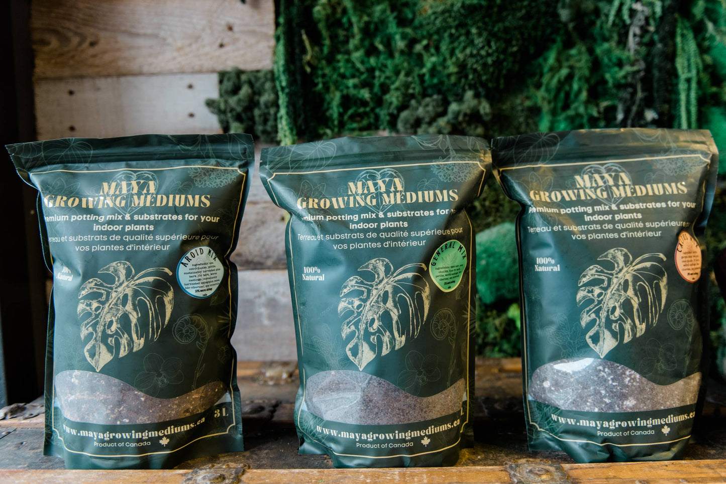 Cactus blend-Potting soil for indoor plants: 3L