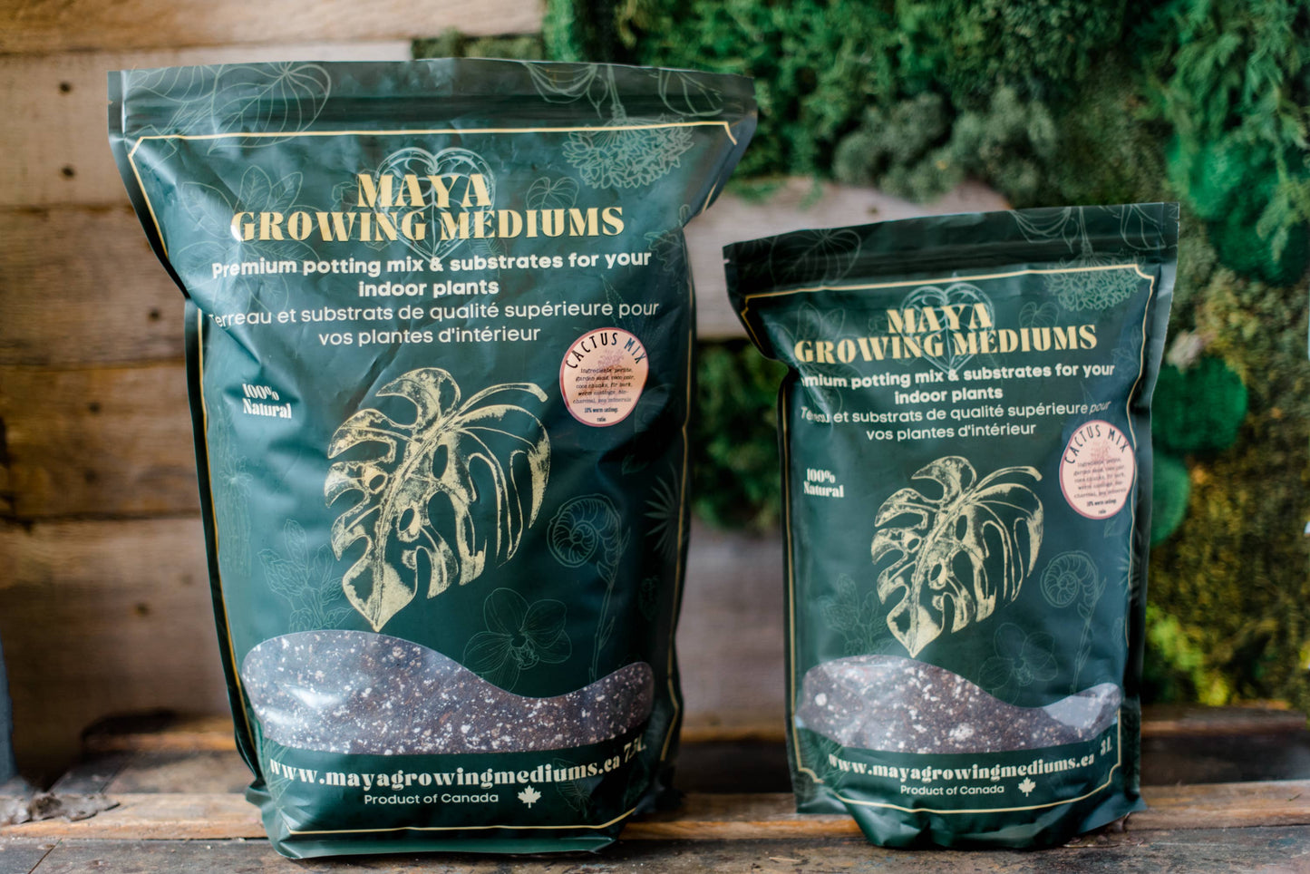 Cactus blend-Potting soil for indoor plants: 3L