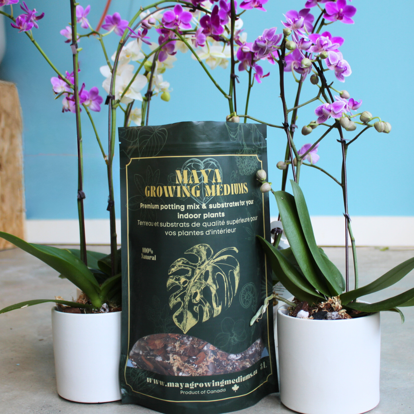 Orchid blend- Potting media: 3L