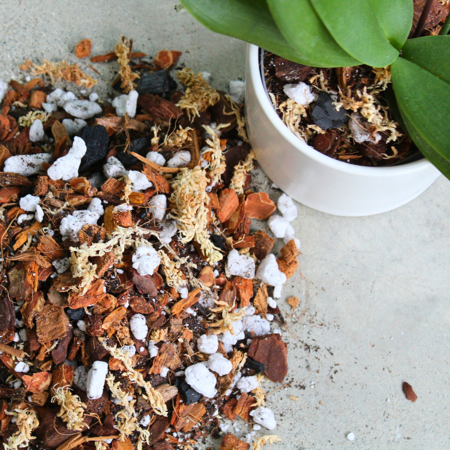 Orchid blend- Potting media: 3L