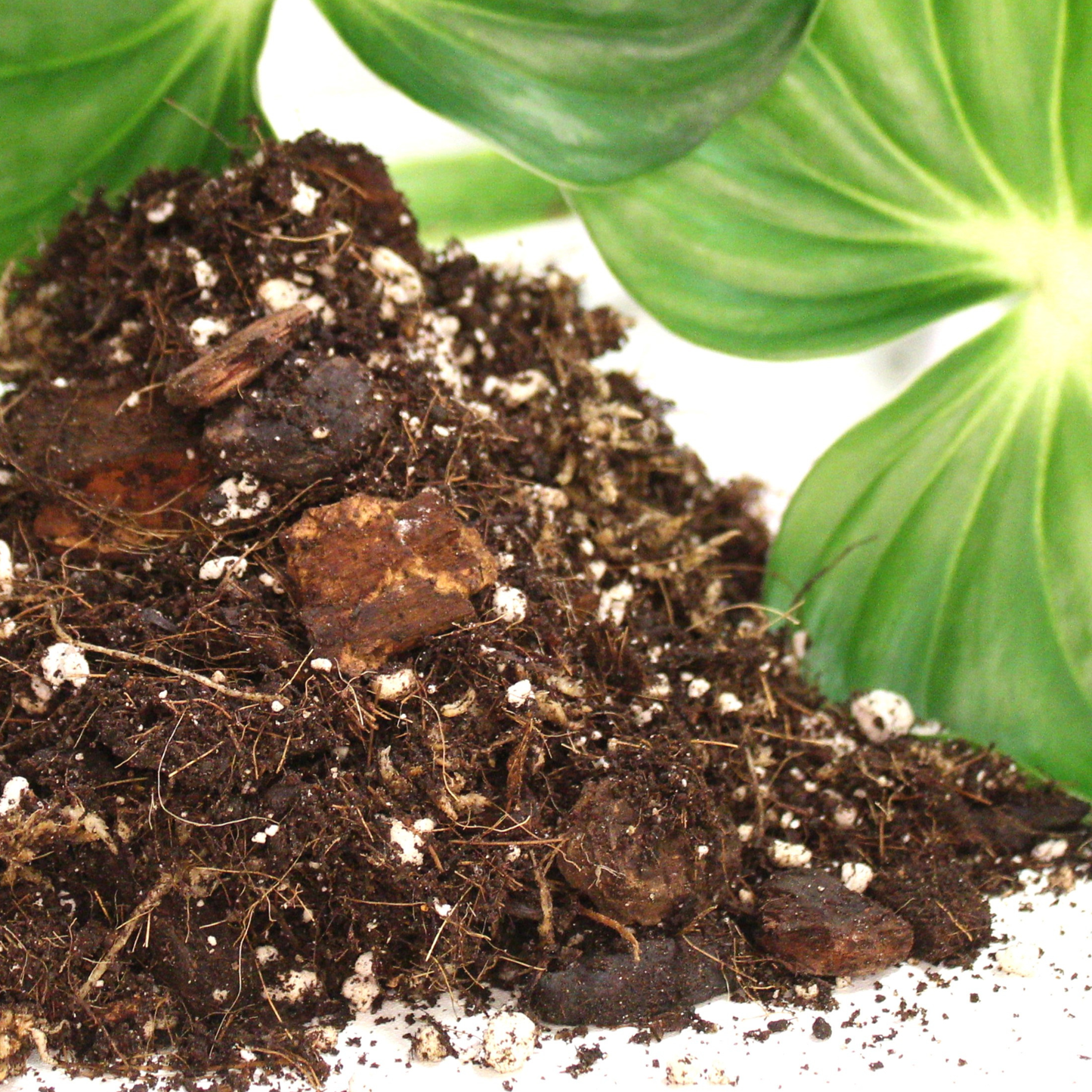 Aroid blend- Potting soil for indoor plants: 3L