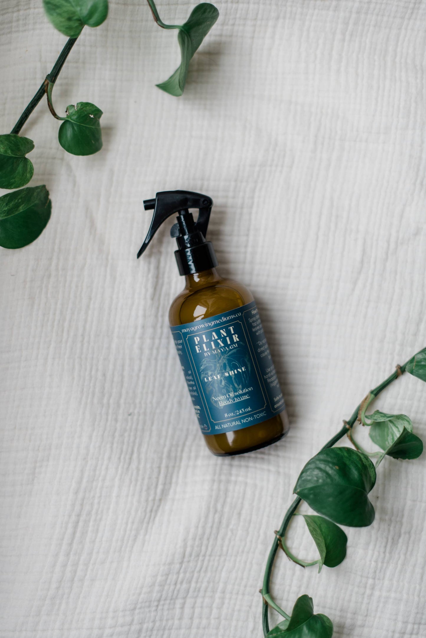 Plant Elixir Leaf shine