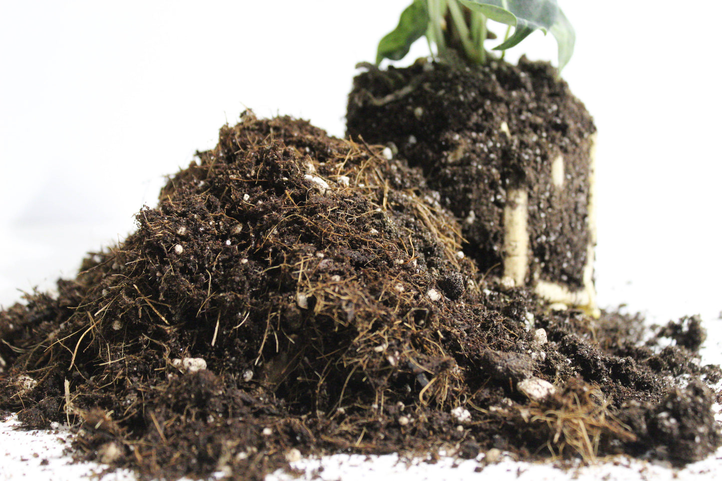 General blend-Potting soil for indoor plants 3L