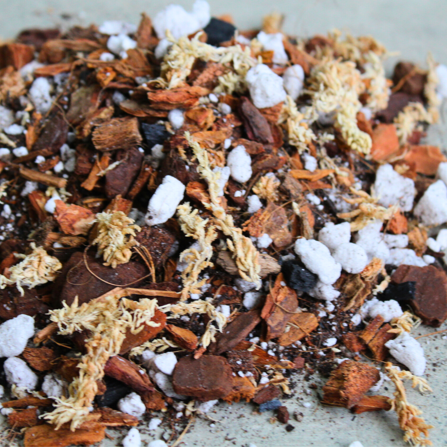 Orchid blend- Potting media: 3L