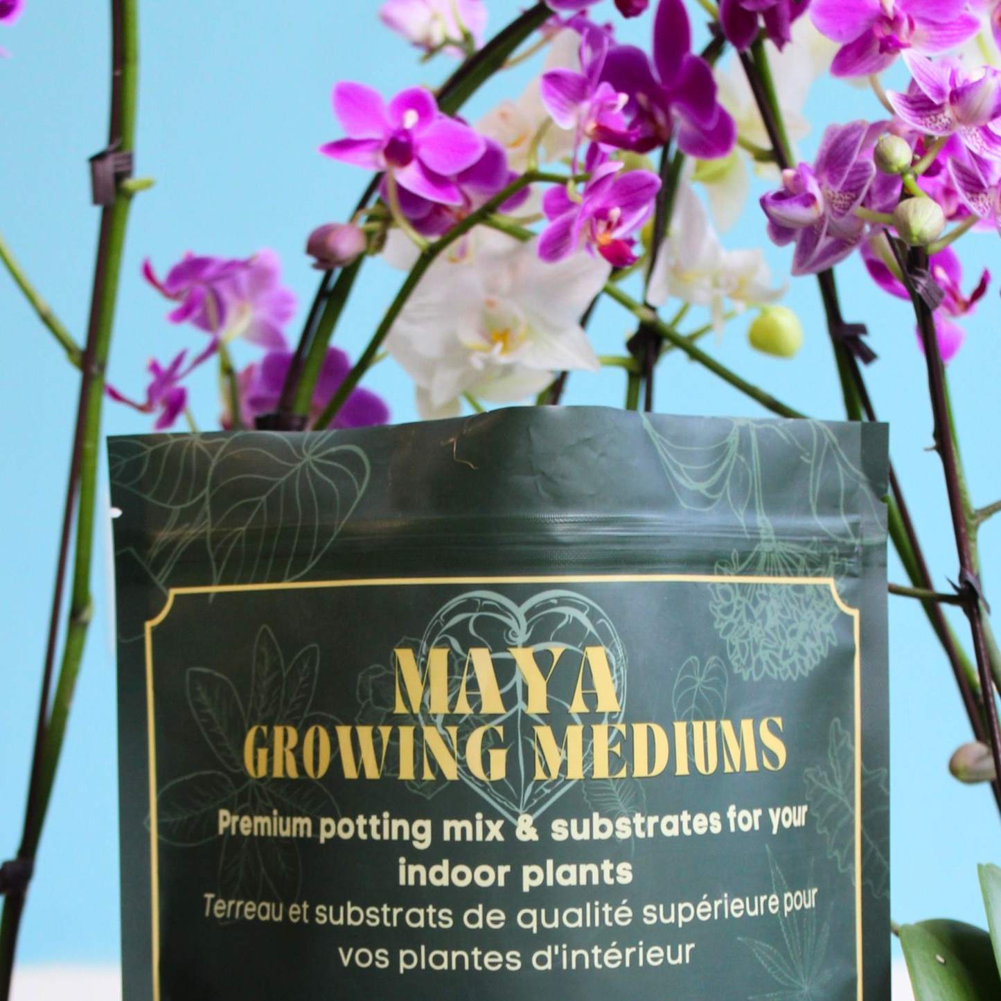 Orchid blend- Potting media: 3L