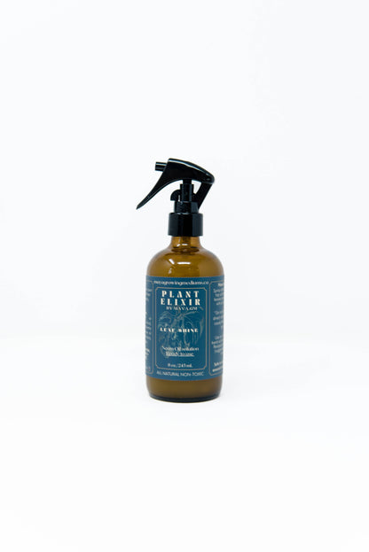 Plant Elixir Leaf shine
