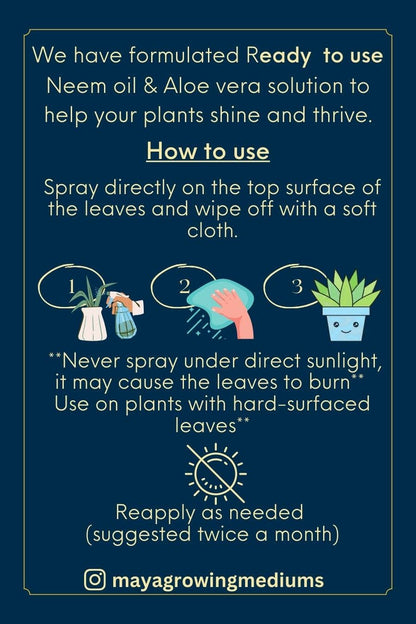 Plant Elixir Leaf shine