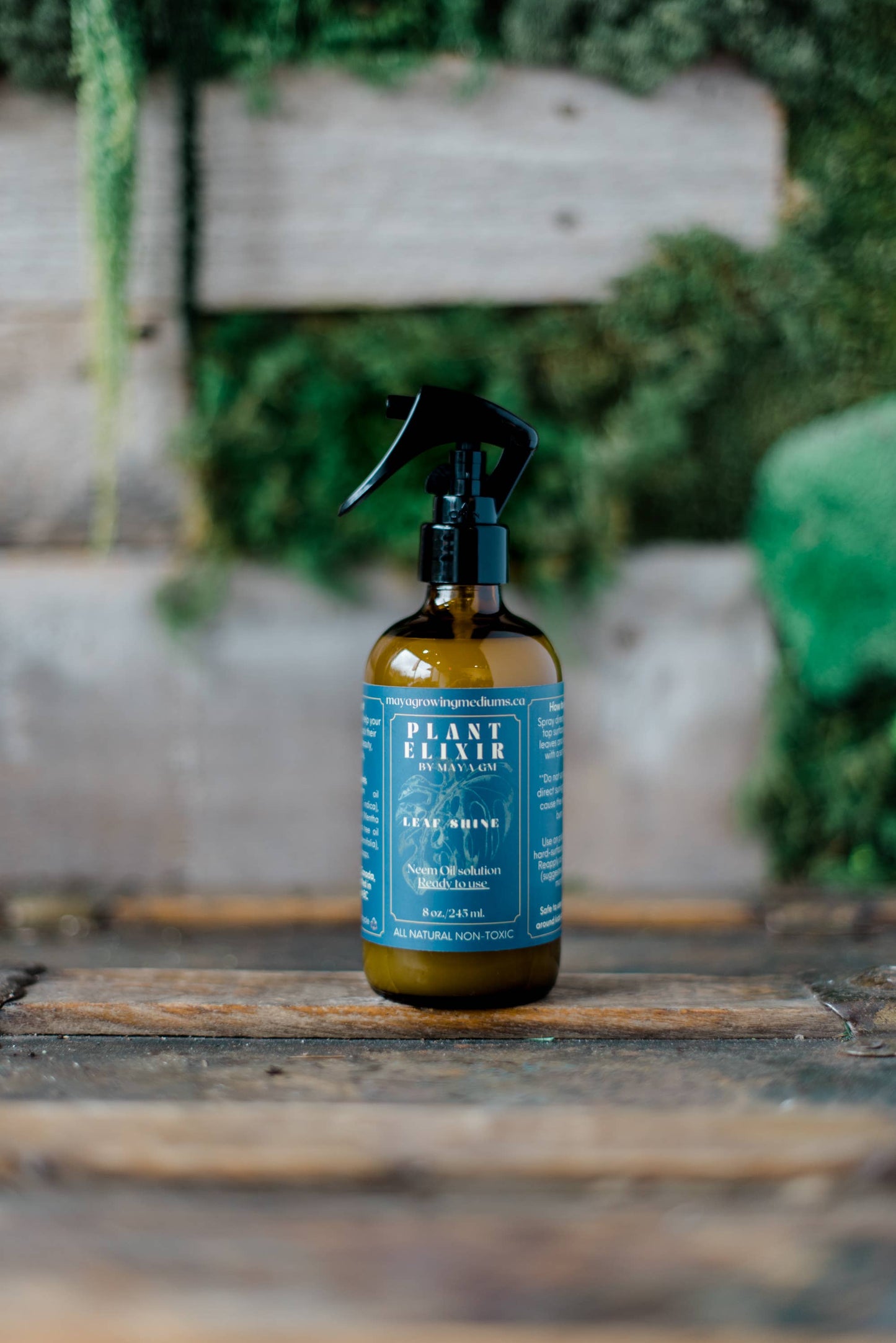 Plant Elixir Leaf shine