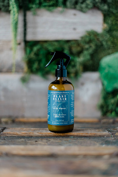 Plant Elixir Leaf shine