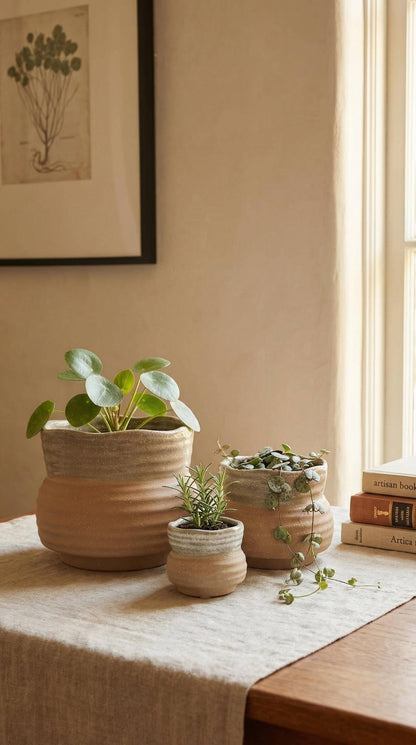 Marisol Ceramic Planter Pot 7.25"