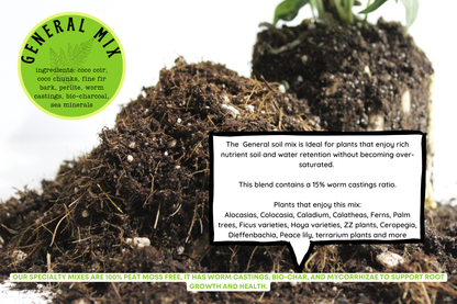 General blend-Potting soil for indoor plants 3L