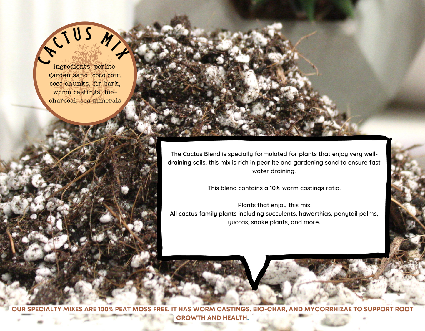 Cactus blend-Potting soil for indoor plants: 3L