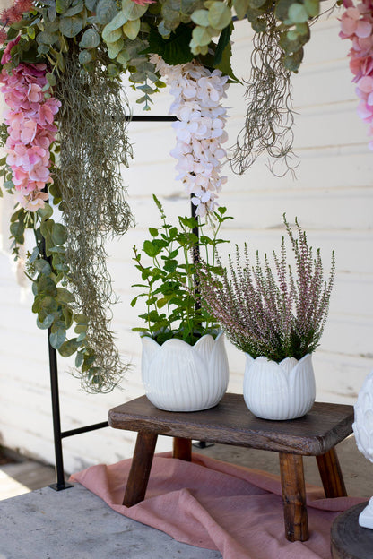 White Small Ceramic Tulip Pot