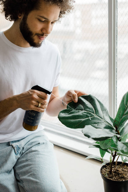 Plant Elixir Leaf shine