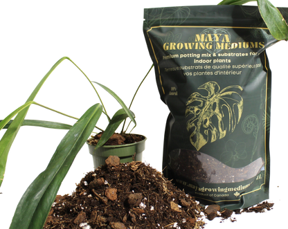 Aroid blend- Potting soil for indoor plants: 3L