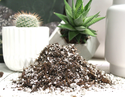 Cactus blend-Potting soil for indoor plants: 3L