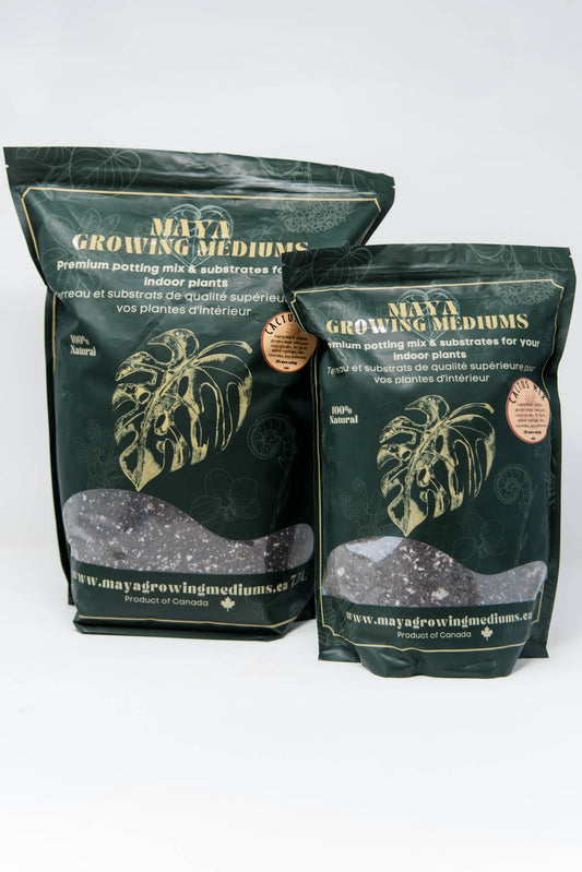 Cactus blend-Potting soil for indoor plants: 3L