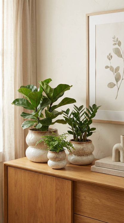 Noemi Ceramic Planter Pot 6.5"