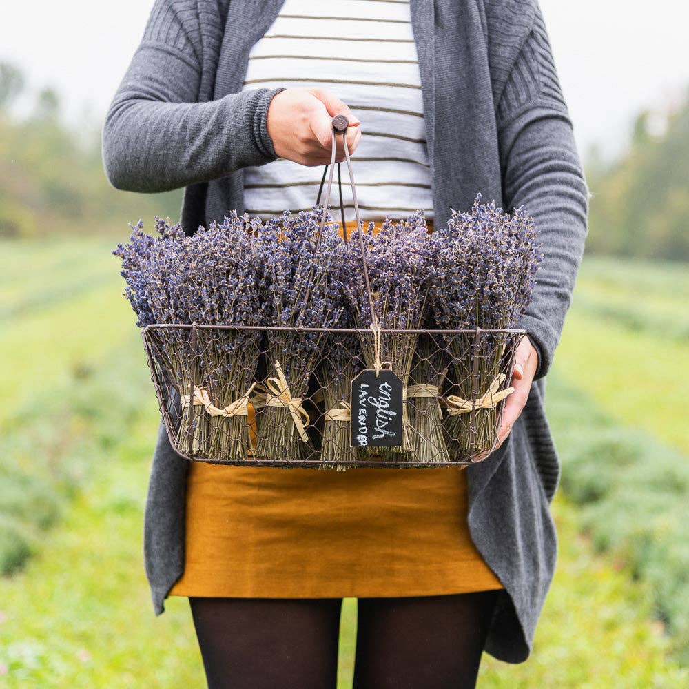 Dried Lavender Bouquet