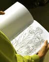 A Garden for All Seasons Colouring Book