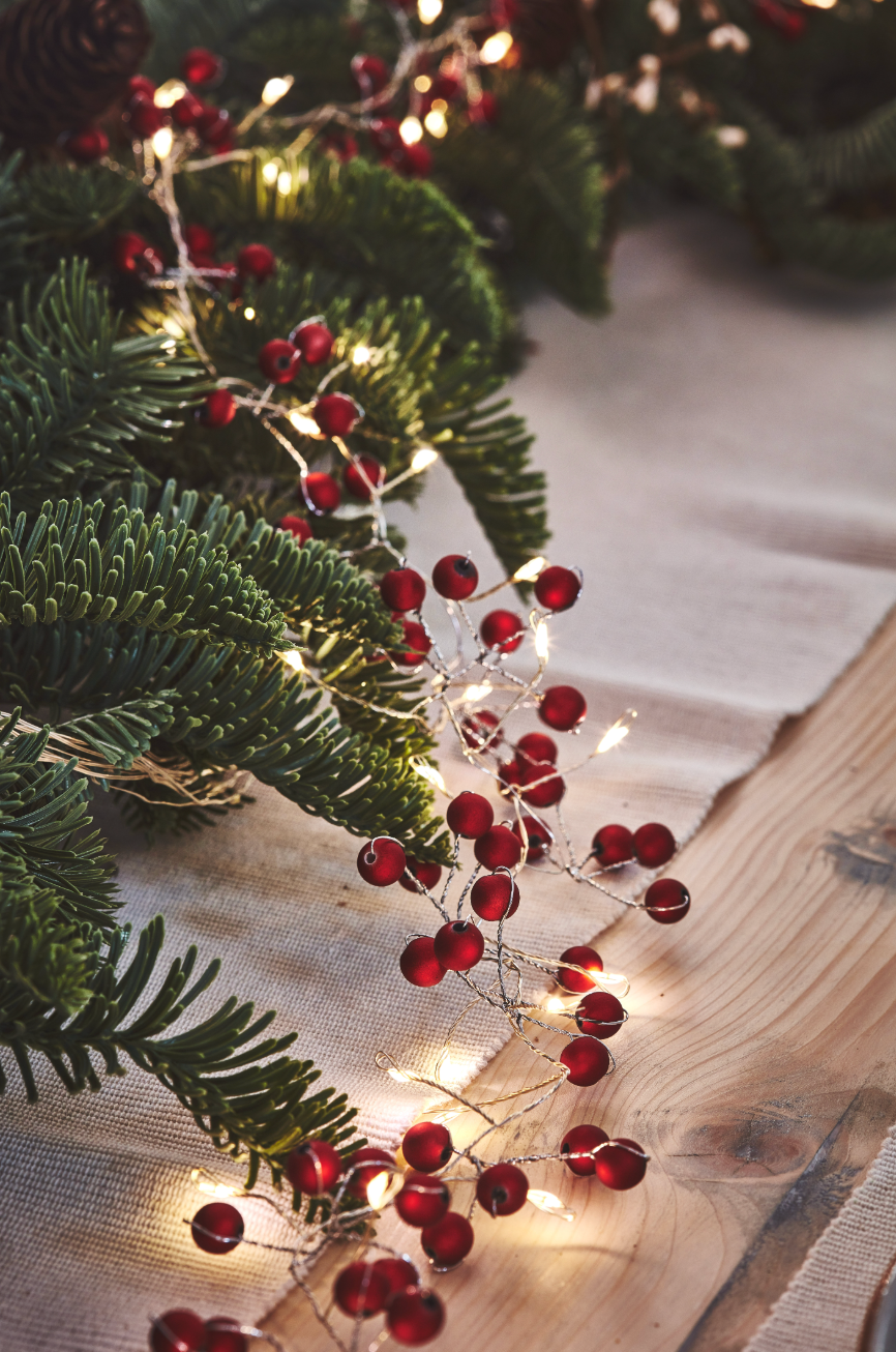 Red Berry Lights - Plug In