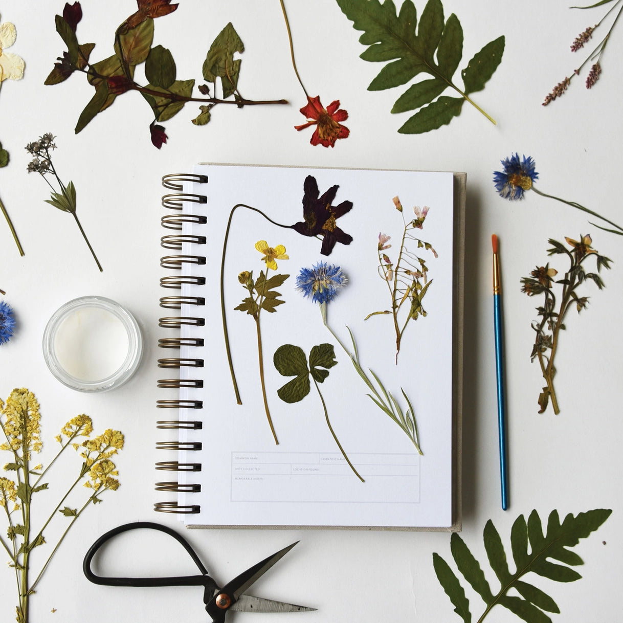 Herbarium Journal