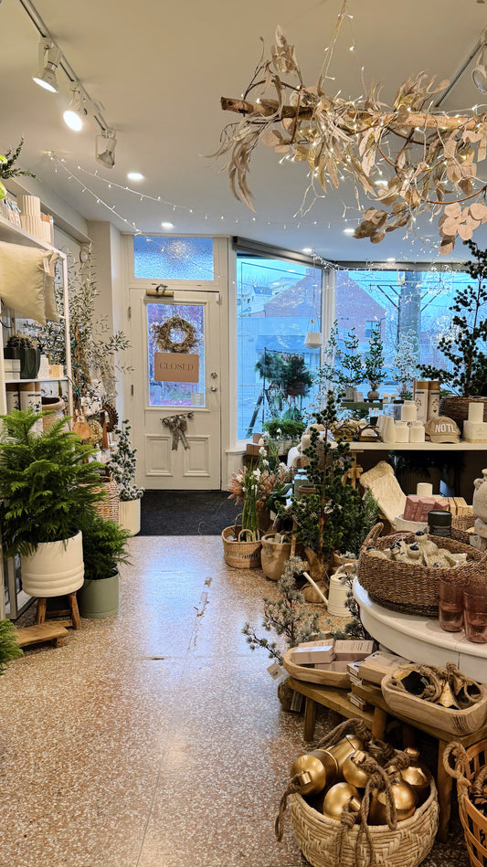 Holiday Centrepiece Workshop at Bloom & Co.