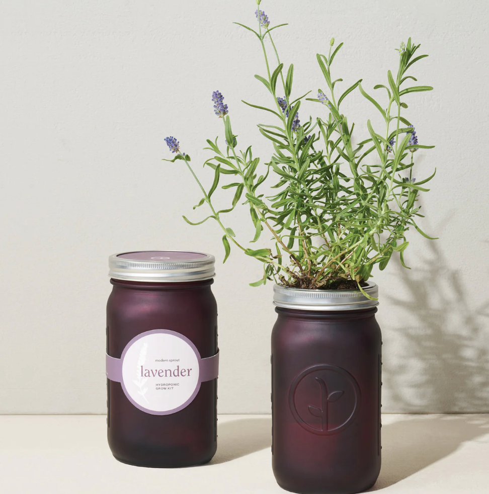 Garden Jar