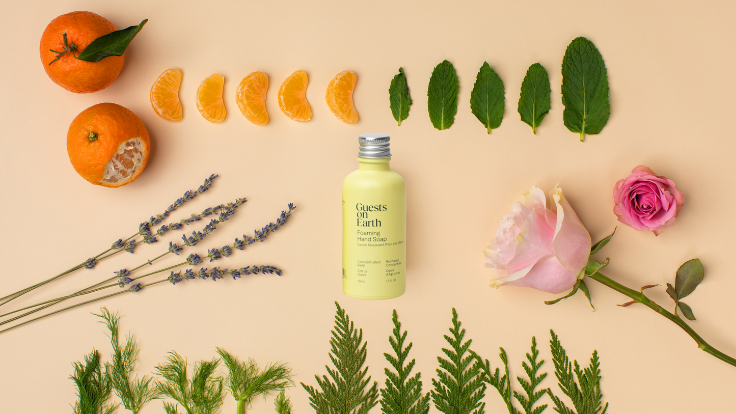 All-Purpose Cleaner - Citrus Oasis
