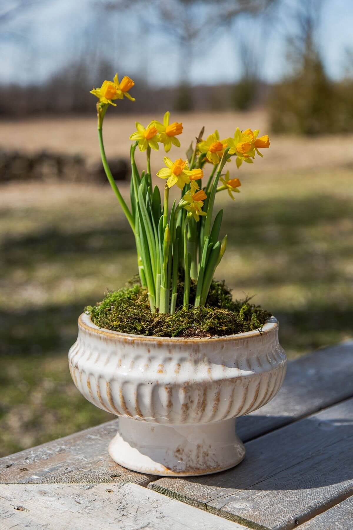 Small Antique Finish Ceramic Urn