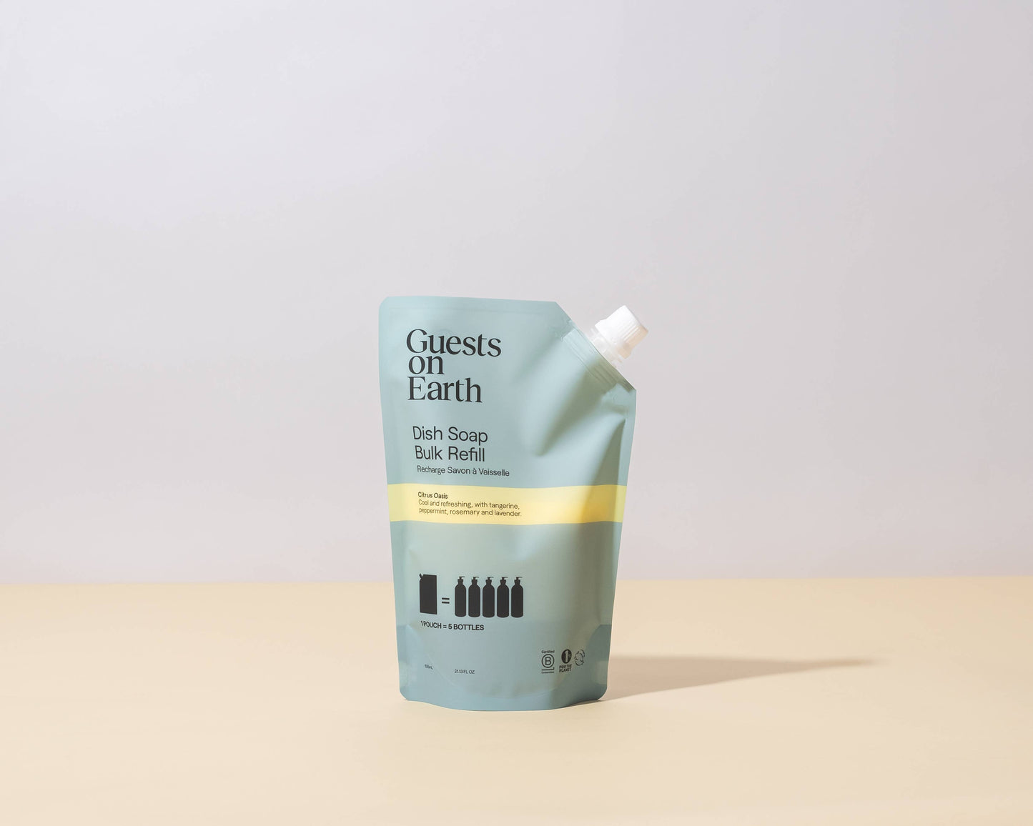 Dish Soap Bulk Refill: Citrus Oasis