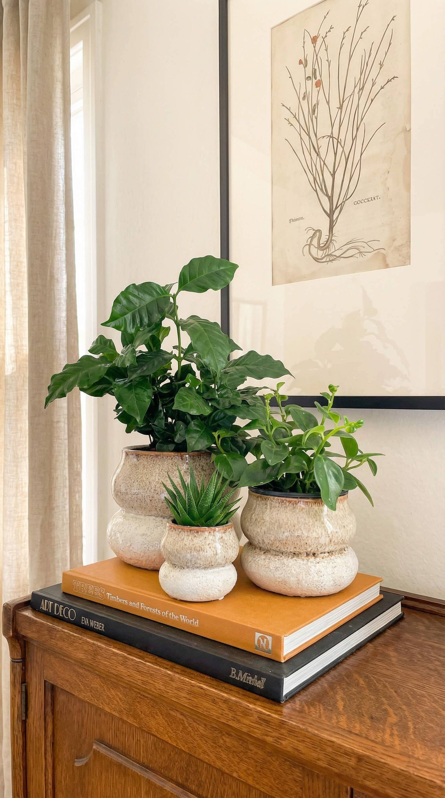 Noemi Ceramic Planter Pot 6.5"
