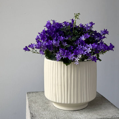 Sybil Pot Round Cream - 6.75 x 6.25"