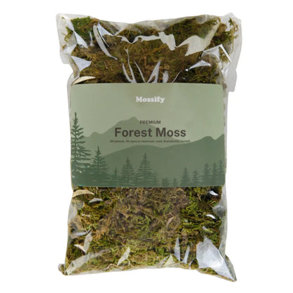 Premium Forest Moss