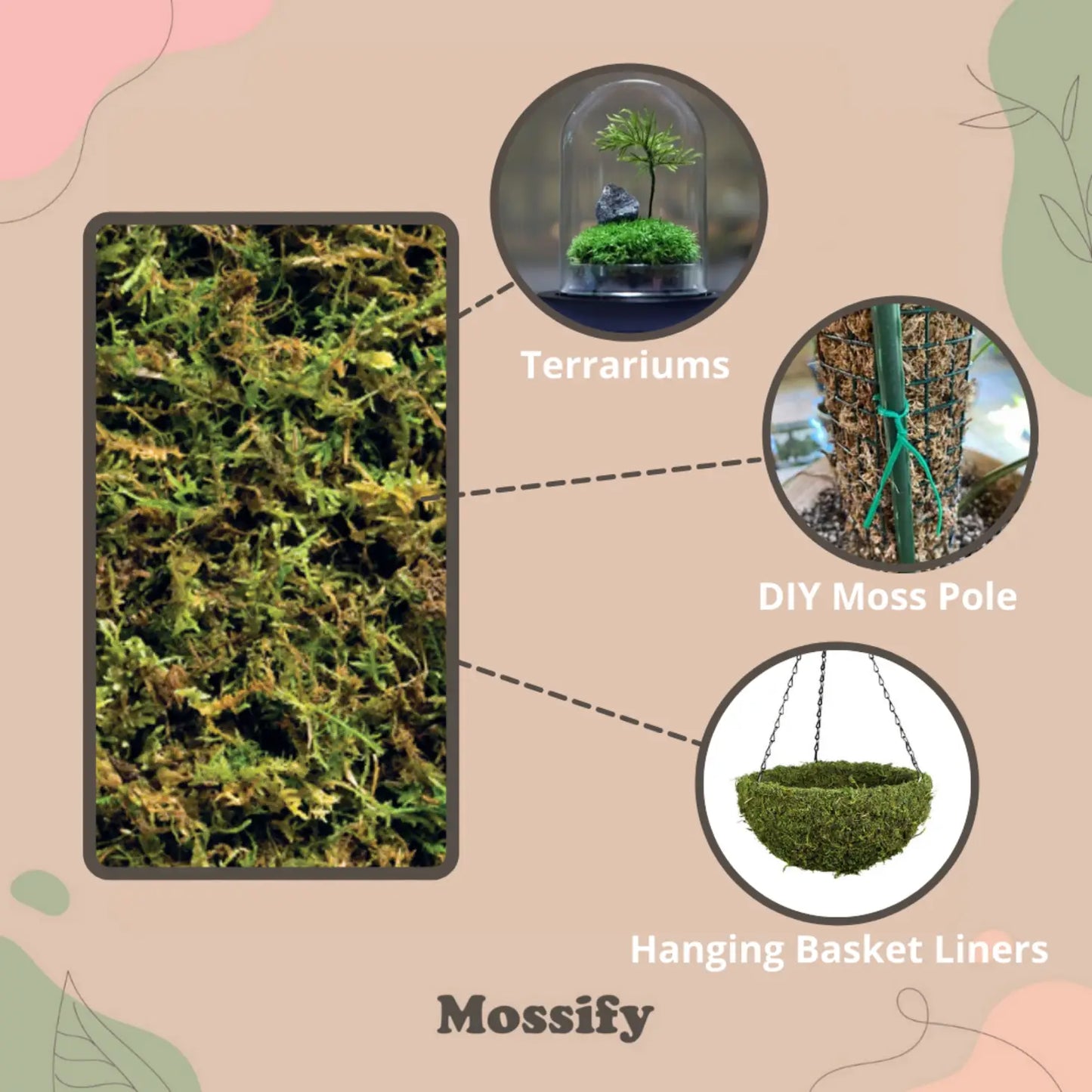 Premium Forest Moss