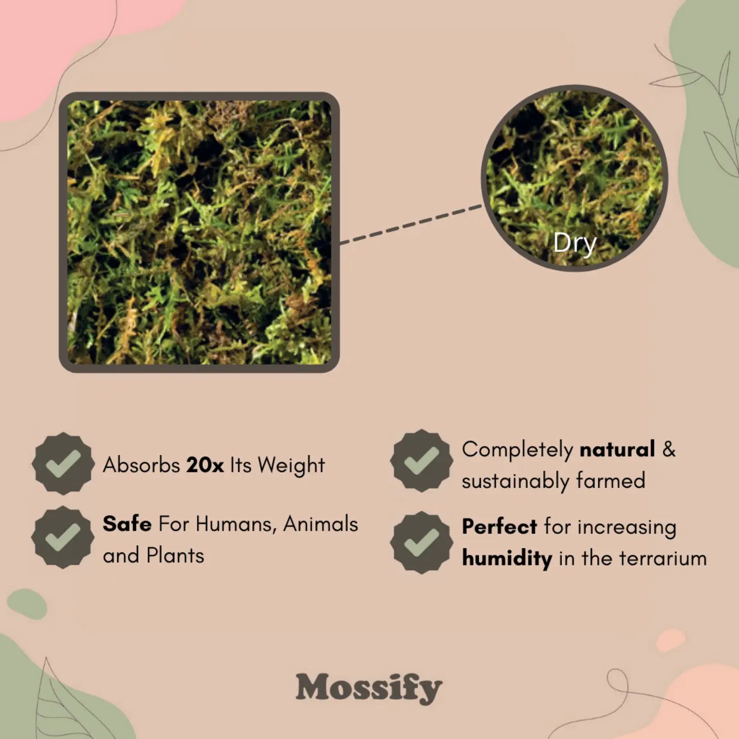 Premium Forest Moss